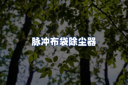 脉冲布袋除尘器